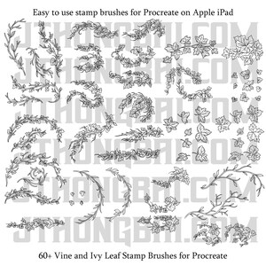 Vines and Ivy Leaves Brush Set for Procreate Stamp Brushes image 2