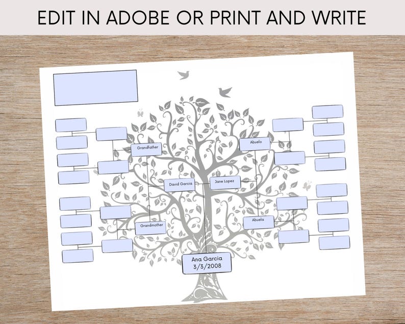 May include: A printable family tree template with a gray tree design and blank spaces for names and dates. The text "Edit in Adobe or Print and Write" is at the top of the page. The text "Ana Garcia 3/3/2008" is at the bottom of the page.