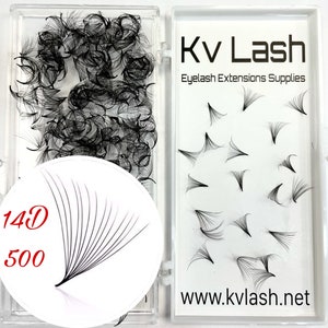 May include: A clear plastic box containing 500 black 14D eyelash extensions. The box has a white label with the text "KvLash Eyelash Extensions Supplies" and the website address "www.kvlash.net".