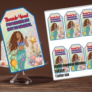 Verjaardag van de kleine zeemeermin, bedankkaartje voor de kleine zeemeermin, Verjaardagsfeestje kleine zeemeermin, Feestje van de kleine zeemeermin, kleine zeemeermin