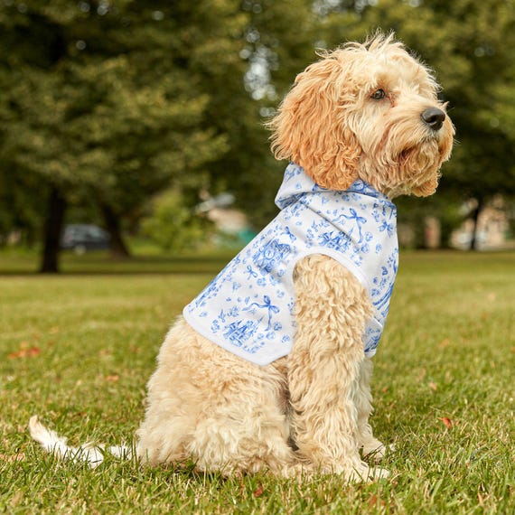 Blue Disney-Inspired Toile Floral Cameo Pet Hoodie | Dog Cat Hoodie