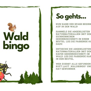 Waldbingo, Waldschatzsuche pdf, Schatzsuche in der Natur als Kartenspiel zum Sofortdownload