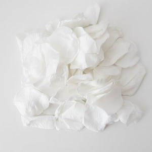 Può includere: Una collezione di numerosi petali di rosa bianchi disposti in un gruppo sciolto e sovrapposto. Ogni petalo presenta una consistenza morbida e delicata con bordi curvi e una finitura opaca, creando un aspetto stratificato con luci e ombre.