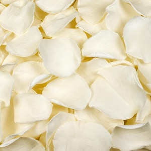 Confetti Huwelijk Champagne Rozenblaadjes Gedroogd — Biologisch Afbreekbaar Luxe, Elegante Ceremoniestrooi 0,5L-24L
