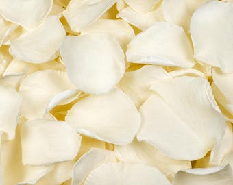 Champagne Rose Petals Wedding Confetti Dried — 100% Biodegradable Luxury Ceremony Toss 0.5L-24L