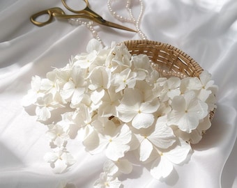 Confettis Mariage Pétales d'Hortensia Blancs Séchés — Biodégradables, Lancer de Cérémonie Bohème Chic Provence