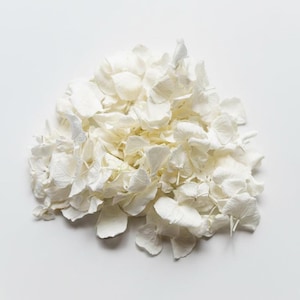 Può includere: Un grappolo di petali di ortensia bianchi essiccati disposti in un mucchio arrotondato. I singoli petali sono sottili, delicati e dalla consistenza cartacea, con una finitura opaca e un colore bianco tenue in tutta la composizione floreale.