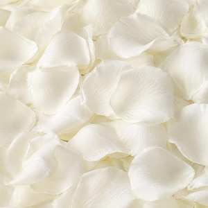 Confetti Matrimonio Petali di Rosa Bianca Secchi — Biodegradabili Naturali, Lancio Cerimonia Romantica