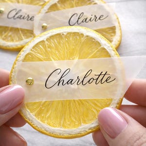 Decoratieve gedroogde citroenschijfjes — Natural Sunburst | The Originea