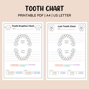 Printable Tooth Eruption Chart & Lost Tooth Chart • Baby Tooth Tracker • Lost Tooth Tracker • Baby Teeth Keepsake