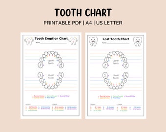 Tableau d'éruption dentaire imprimable et tableau des dents perdues • Suivi des dents de bébé • Suivi des dents perdues • Souvenir des dents de bébé