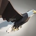 Eagle: Digital Files for Papercraft. Printable PDF Template - Etsy
