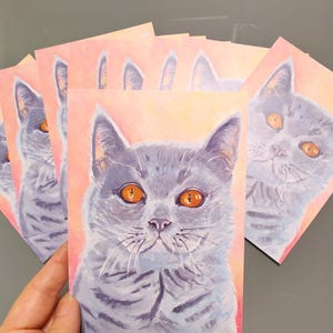Postkarte Kunstdruck DINA6 / British Kurzhaar Katze/Kater grau mit bernsteinfarbenen Augen