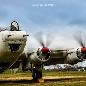Shackleton growling