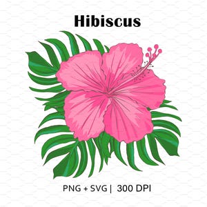 Hibiscus Flower Bouquet SVG: Summer PNG Design, Digital Download