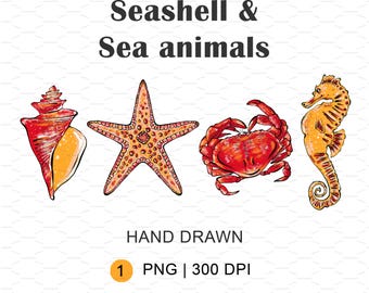PNG: strandafdruk, zomersublimatieontwerp, commercieel gebruik, digitale download