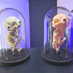 Escultura macabra de feto querubín | Decoración inusual para gabinete de curiosidades | Rarezas y curiosidades artísticas | Regalo gótico y extraño