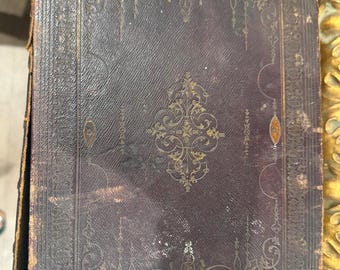 Illustrated Domestic Bible by Ingram Cobbin