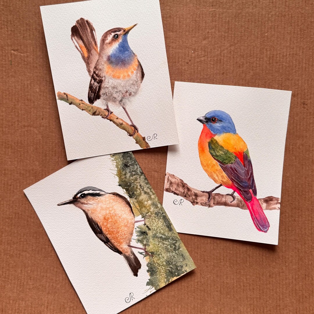 Birds Original Painting Set of 3 Bird Watercolor Postcards - Etsy