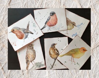 Bird Watercolor Card Set of 6 Bird Painting Original Set Postcard