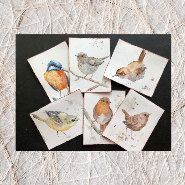 Bird Watercolor Card Set of 6 Bird Painting Original Set Postcard