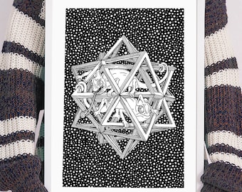 Escher, Sterren en Kameleons, Geometrische tekening van een veelvlak, Decoratieve tekening met zwarte inkt, Hedendaagse kunst, Illustratie van een stellaire dodecaëder