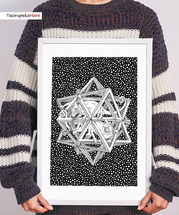 Escher, Stars and Chameleons, Polyhedron Geometric Drawing 