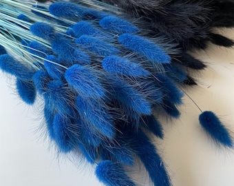 Dried Navy Blue Lagurus, Bunny Tail Grass, 60 Stems, for Home Decor and Craft