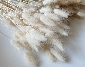 100 Pcs Queue De Lapin Fleur Séchée Naturelle - Herbe Sèche Pour Bouquet, Décoration Maison, Mariage Et Garden Party