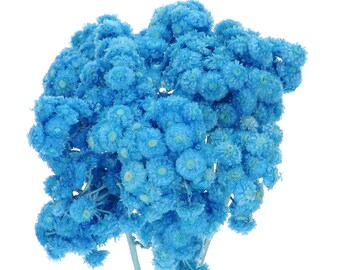Dried Blue Helichrysum, Bunch 70 g, Strawflower Bouquet, Natural Florals