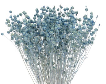 Getrocknetes Blue Linum Bund 80 g | Getrocknetes Linolvlas | Getrockneter Flachs | Natürliche Trockenblumen | Getrocknete Blumen | Blumengesteck | Wohndekor