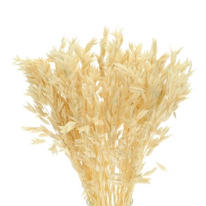 Puede incluir: Un ramo de tallos de avena secos en un jarr&oacute;n de vidrio transparente. Los tallos son de color beige claro y est&aacute;n dispuestos en un estilo suelto y natural.