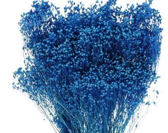 Dried Blue Broom Bloom, Bunch 80 g, Floral Arrangement, Bouquet Filler
