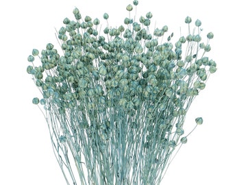 Mazzo di Linum blu essiccato 80 g / lino vlas essiccato / lino essiccato / fiori secchi naturali / fiori secchi / composizione floreale / decorazioni per la casa