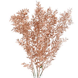 Copper Gold Ruscus 5 Stems | Dried Ruscus Bunch | Copper Leaves | Copper Dried Flowers | Dried Flowers Arrangement