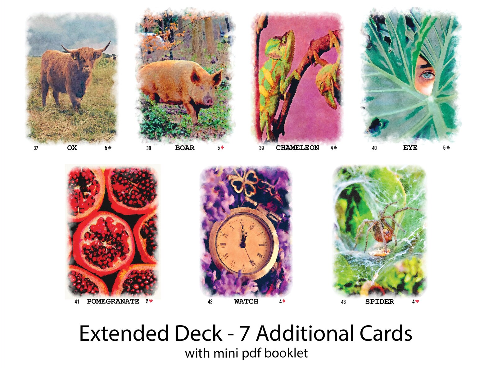 Watercolour Lenormand Oracle Deck Printable Oracle Deck Printable ...