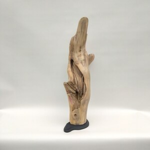 Driftwood sculpture "Shared Harmony"