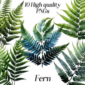 Varen Clipart - botanisch groen PNG, aquarel varenbladeren, op de natuur geïnspireerde plant illustratie, tropische varen digitale kunst