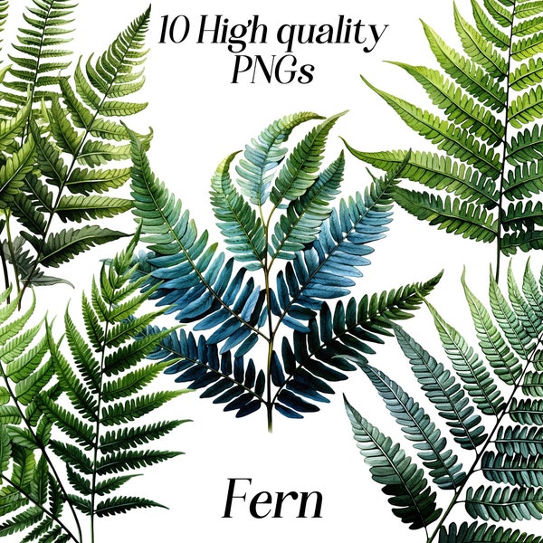 Watercolor Fern clipart, 10 high quality PNG files, fern graphics, botanical Illustration, printable images, green leaves