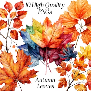 Folhas de Outono Clipart - Folhagem de Outono PNG, Arte Digital Rústica de Folhas Sazonais, Clipart Colorido de Natureza de Outono