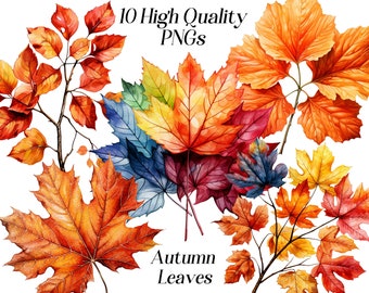 Clipart herfstbladeren: rustiek herfstgebladerte, png (digitale download)