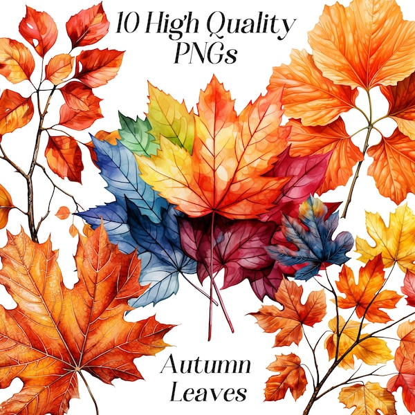 Watercolor autumn leaves clipart, 10 high quality PNG Files, fall clip art, autumn graphics, tree branch, printables