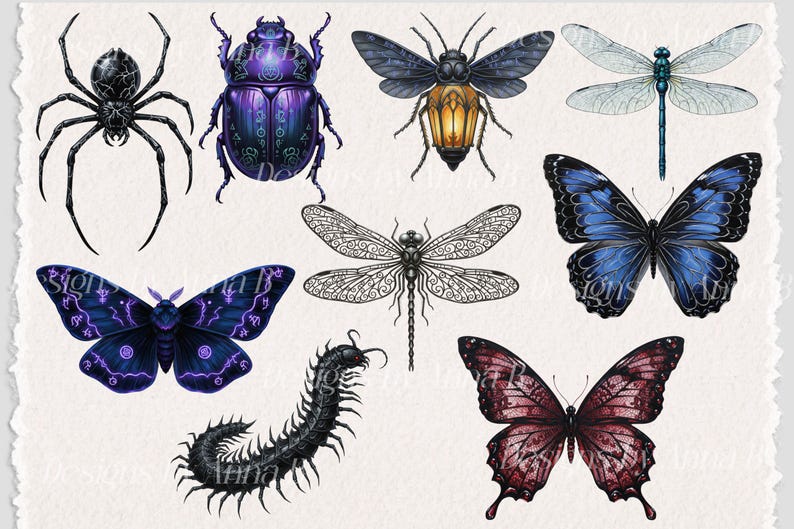 Gothic Insects Gothic Insects Clipart Set, Dark Fantasy Moths Beetles Spiders ...