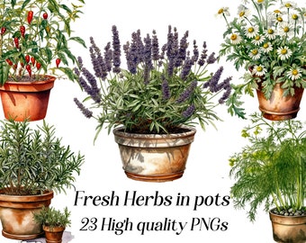 Watercolor Herb Clipart: 23 PNG Garden Graphics (Digital Download)