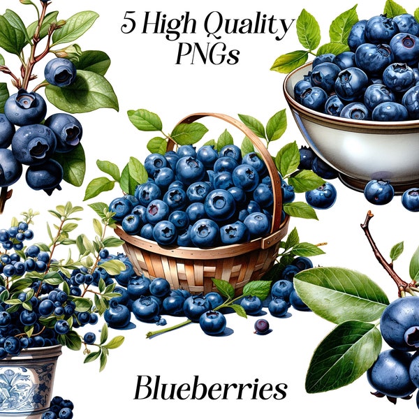 Watercolor blueberries clipart, 5 high quality PNG files, berries, fruits clip art, summer food, printable graphics