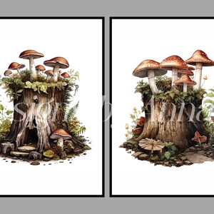 May include: Two watercolor paintings of mushroom clusters growing on tree stumps. The first painting shows a stump with a hollowed-out space and a small stone path leading to the opening. The second painting shows a stump with a cluster of mushrooms growing on top.