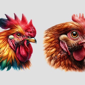 May include: A close-up of two rooster heads. The rooster on the left has a colorful plumage with red, orange, yellow, and green feathers. The rooster on the right has brown feathers.