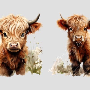 May include: Two Highland cattle calves, one looking directly at the camera and the other looking to the side, both with long, shaggy brown fur and horns. They are standing in a field of tall grass.