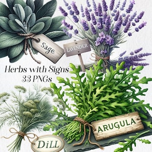 Clipart de ervas com sinais, clipart de jardim de ervas em aquarela, arquivos PNG, decoração de cozinha, ervas para cozinhar, sálvia, hortelã, endro, lavanda, para impressão