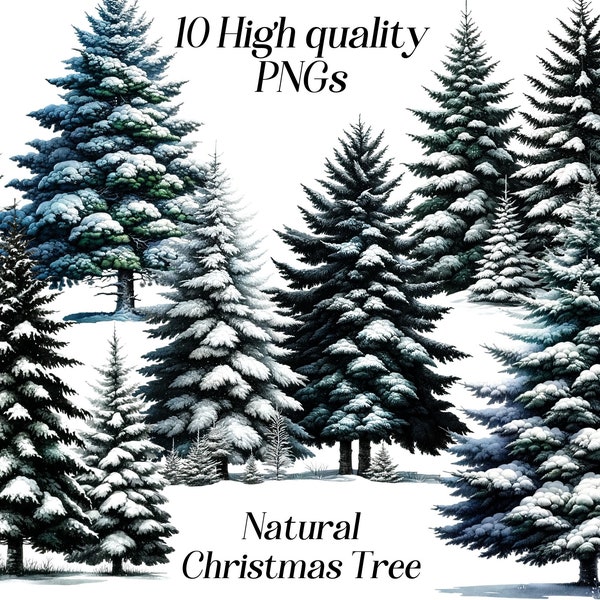 Watercolor Natural Christmas tree clipart, 10 high quality PNG files, pine tree clipart, forest trees, woods, nature illustration, printable